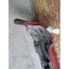 Pare Choc Arriere Dacia Sandero 1 (7)